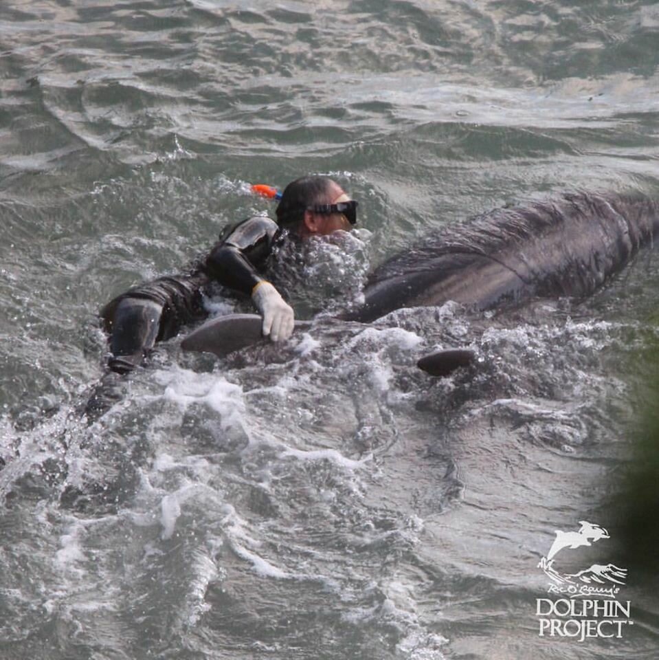 Taiji-20_9_2015-ride