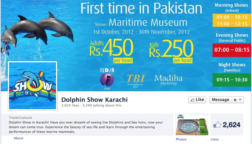 dolpin-show-1024x586