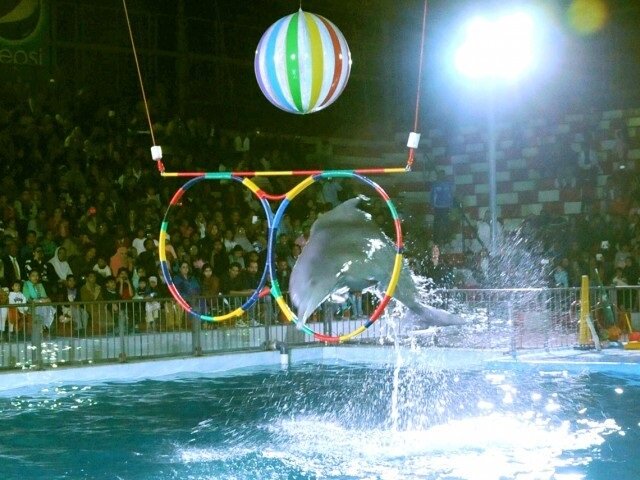 pakistan6_boris-dolphin