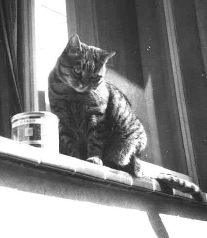 Poupousse à Bruxelles (1963 )