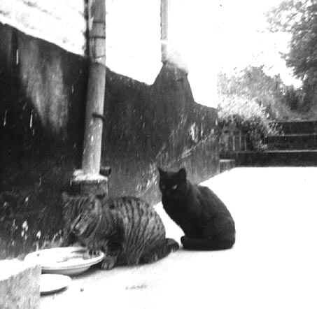 Poupousse, la maman et Zignasse, la fille. Ici, en vacances à la campagne, vers 1964.