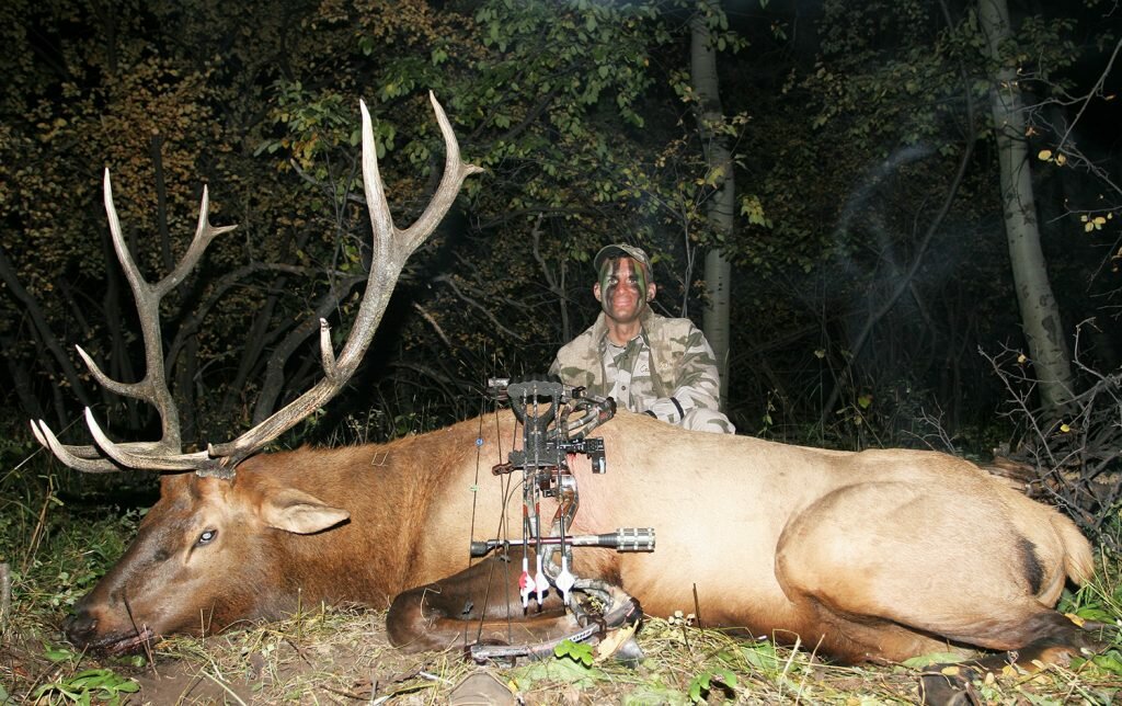 cerf-bowhunting